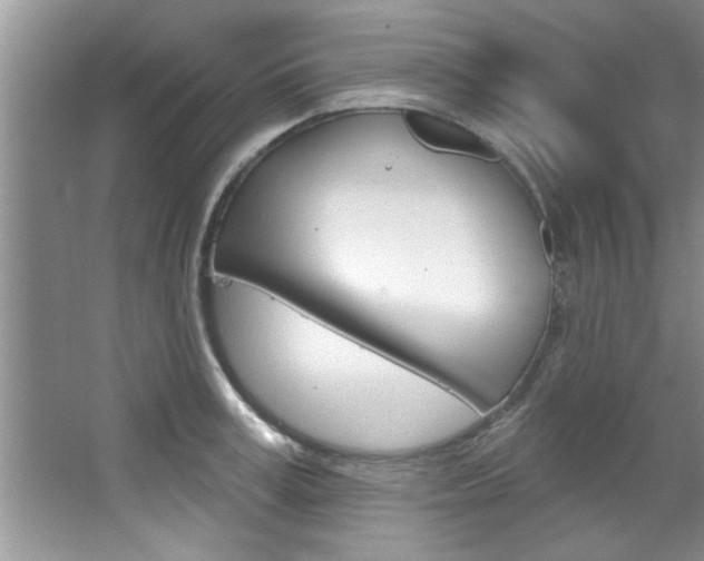 X0000067840995200604130940