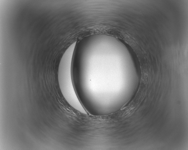X0000067841010200604130939