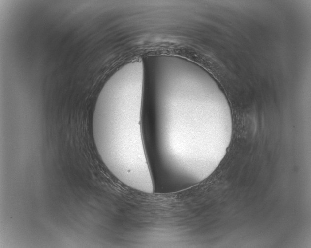 X0000067841013200604130939