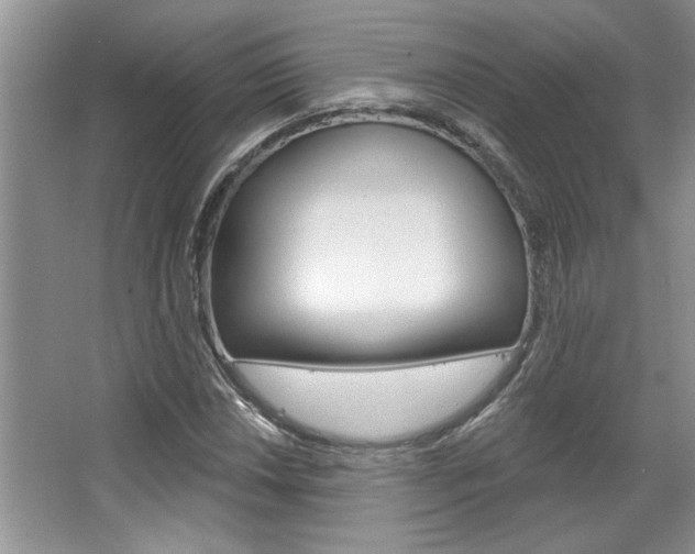 X0000067841018200604130939