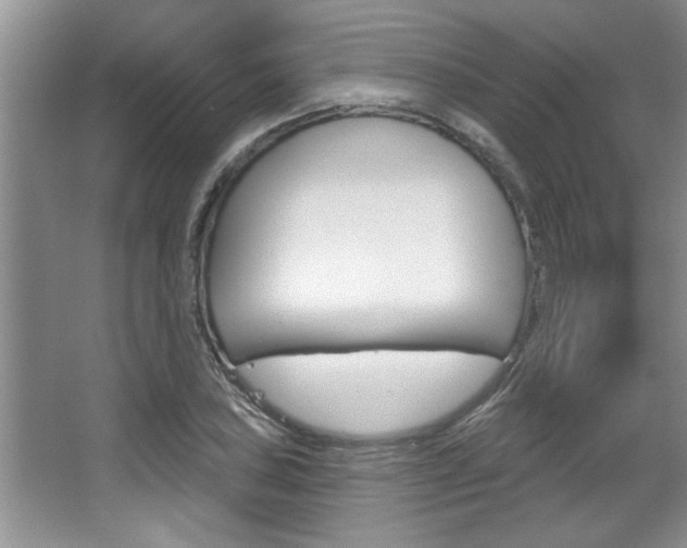 X0000067841027200604130939