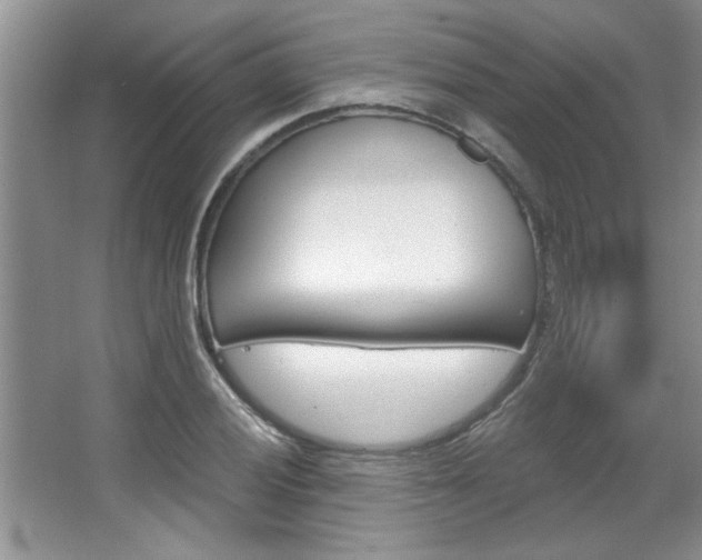 X0000067841028200604130939