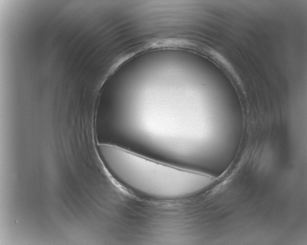 X0000067841041200604130939