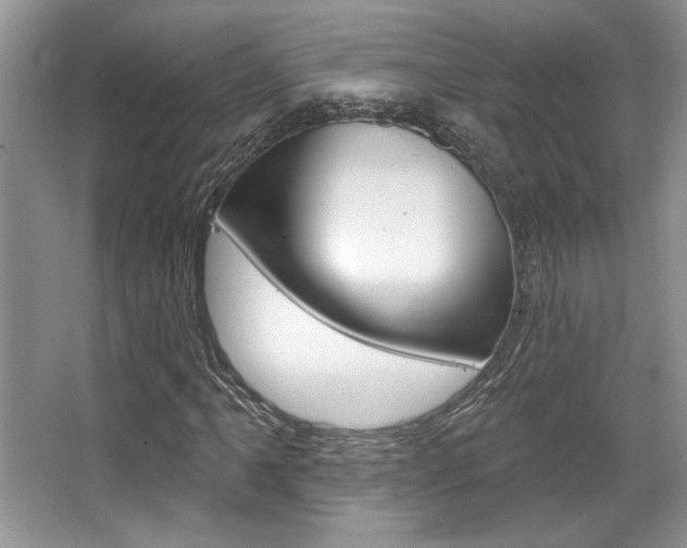 X0000067841061200604130939