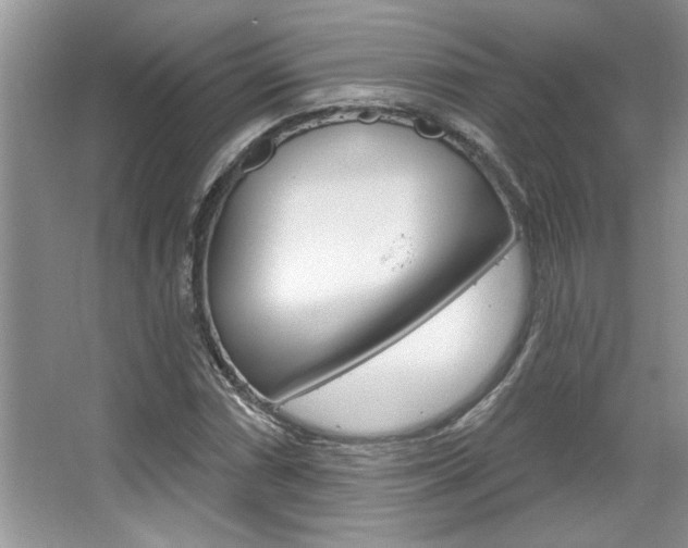 X0000067841066200604130938