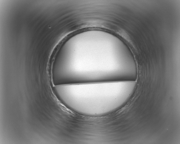 X0000067841068200604130938