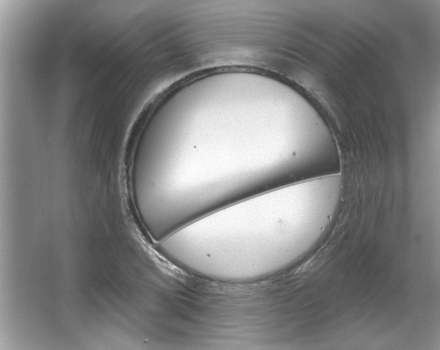 X0000067841072200604130938