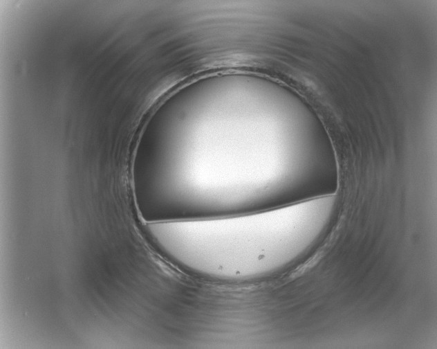 X0000067841073200604130938