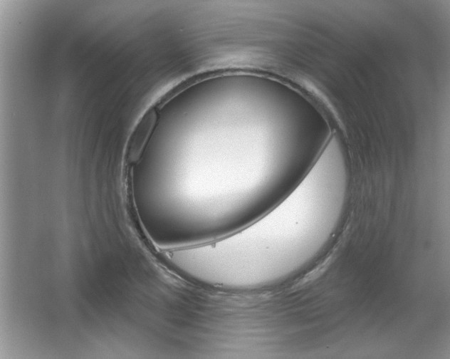 X0000067841077200604130938