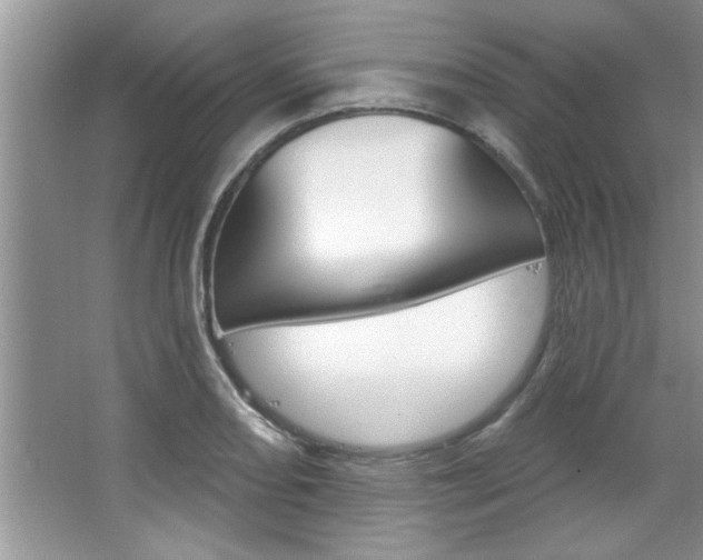 X0000067841082200604130938