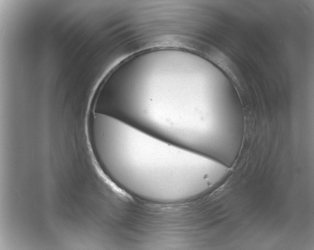 X0000067841084200604130938