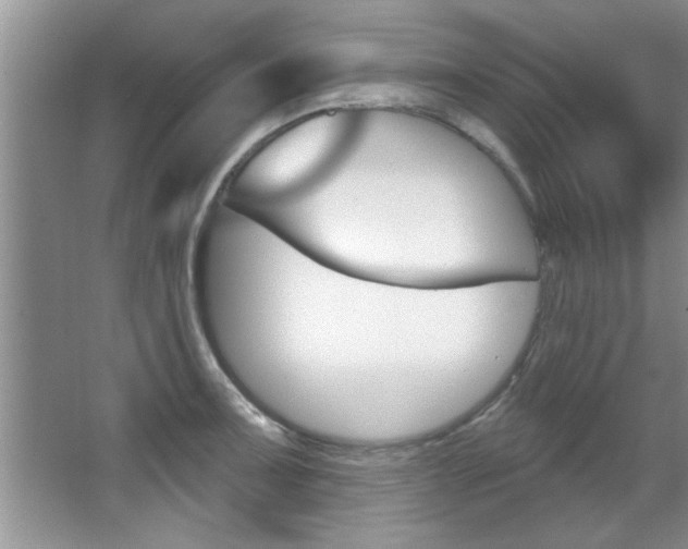 X0000067841091200604130938