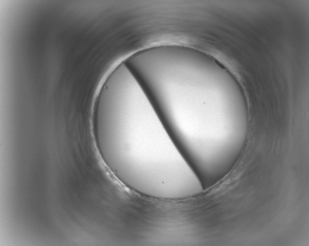X0000067841104200604130938