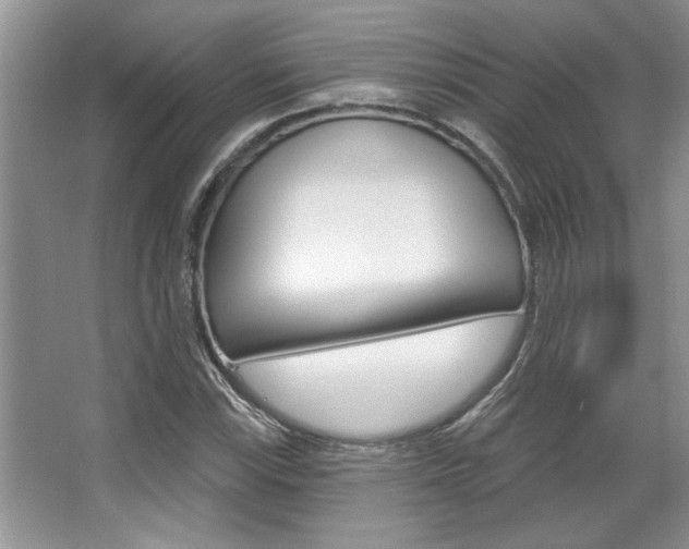X0000067841115200604130937