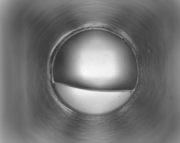 X0000067841124200604130937