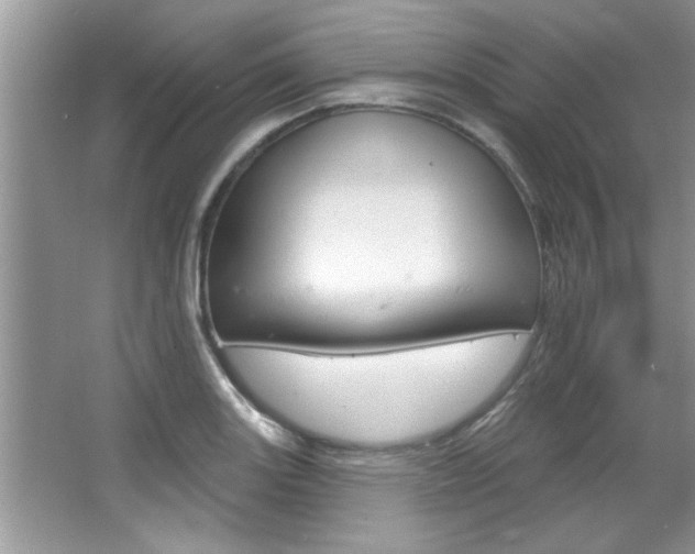 X0000067841131200604130937