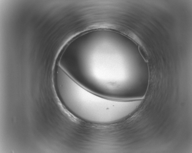 X0000067841132200604130937