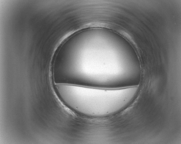 X0000067841133200604130937