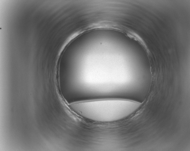 X0000067841146200604130938