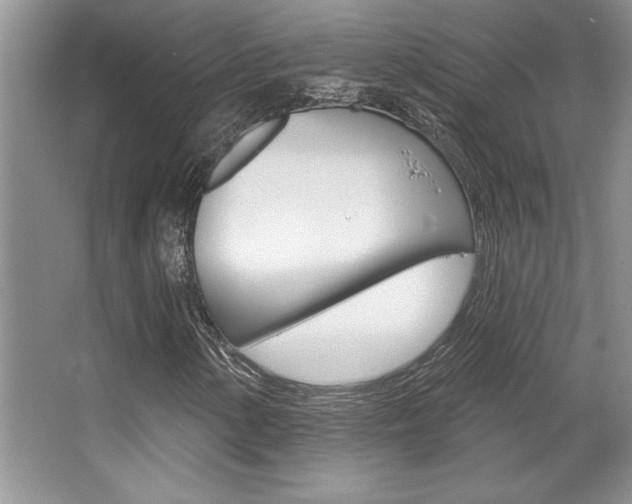 X0000067841154200604130937