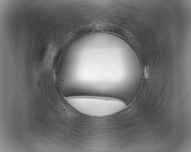 X0000067841155200604130937