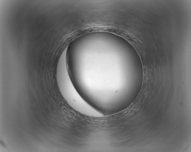 X0000067841157200604130937