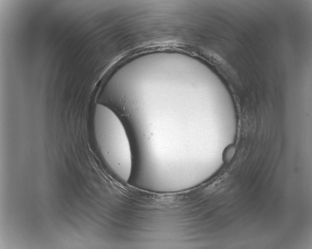 X0000067841162200604130937