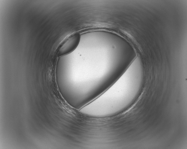 X0000067841163200604130937