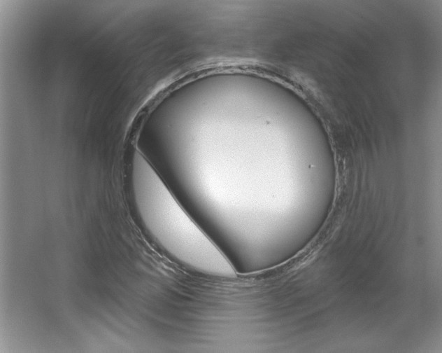 X0000067841165200604130937