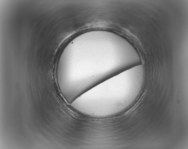 X0000067841166200604130937