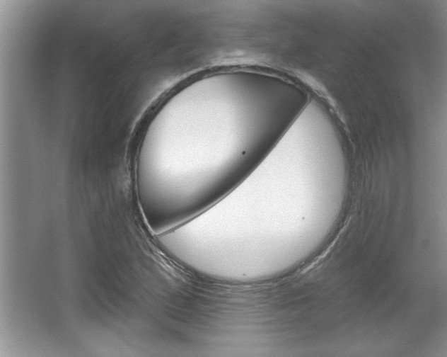 X0000067841167200604130937