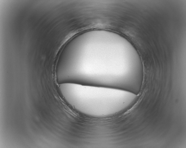X0000067841170200604130937
