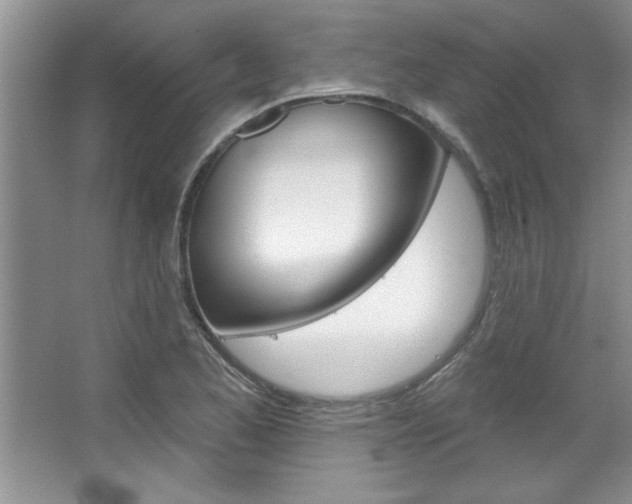 X0000067841173200604130937