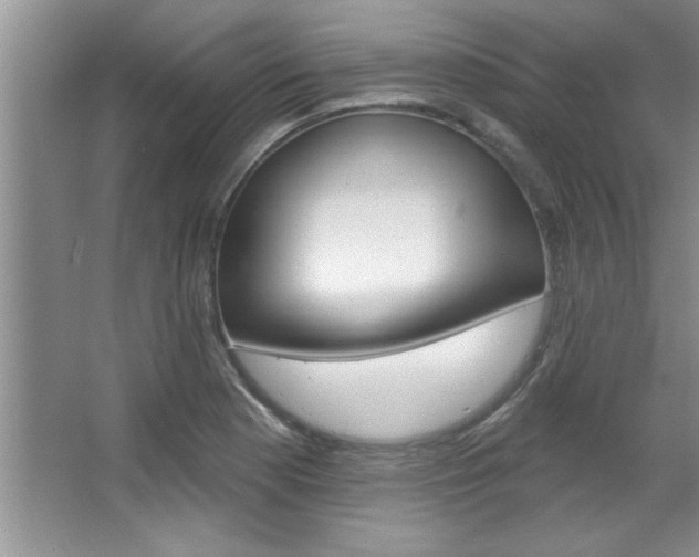 X0000067841177200604130937