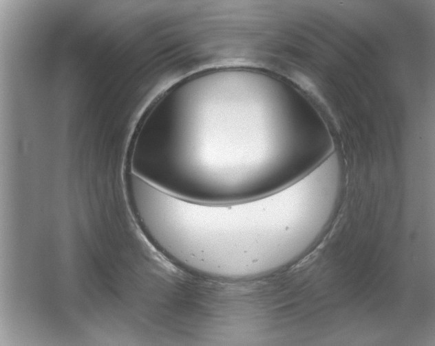 X0000067841181200604130937