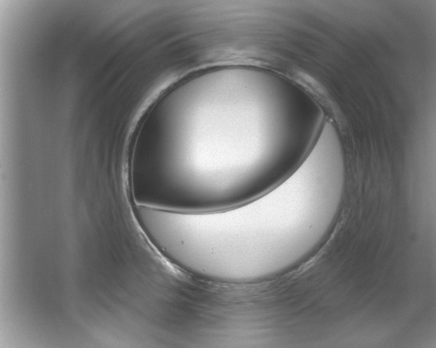 X0000067841188200604130936