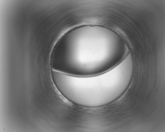 X0000067841192200604130936