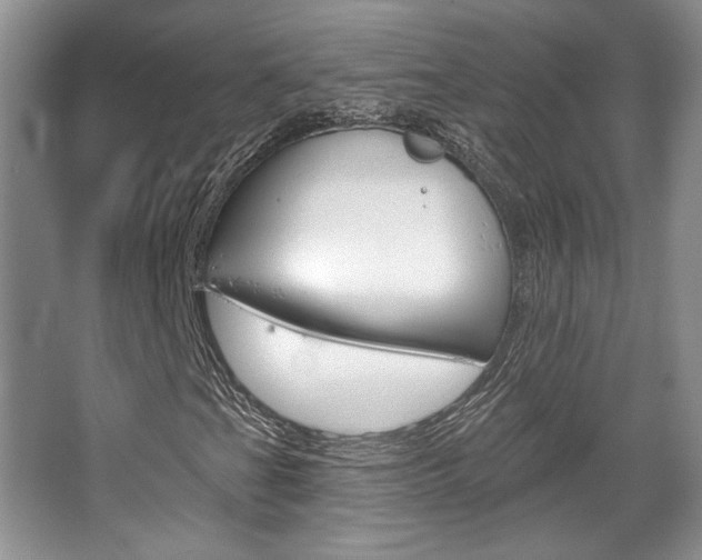 X0000067841201200604130935