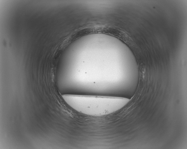X0000067841204200604130935