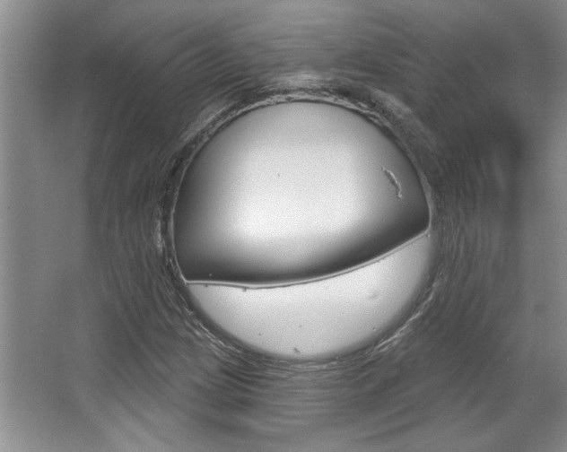 X0000067841209200604130936
