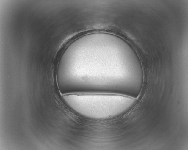 X0000067841214200604130936