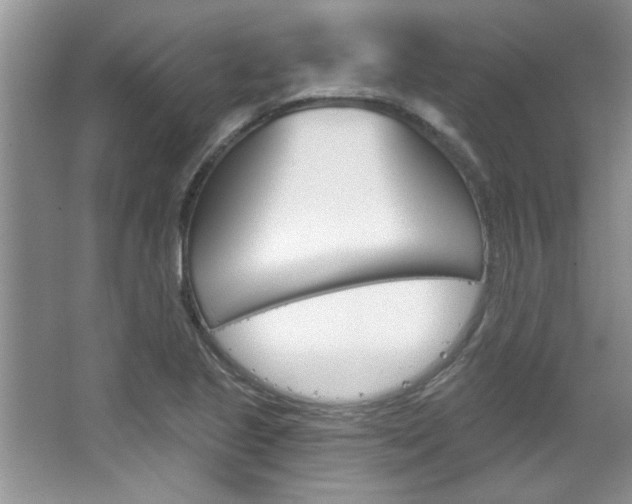 X0000067841221200604130936