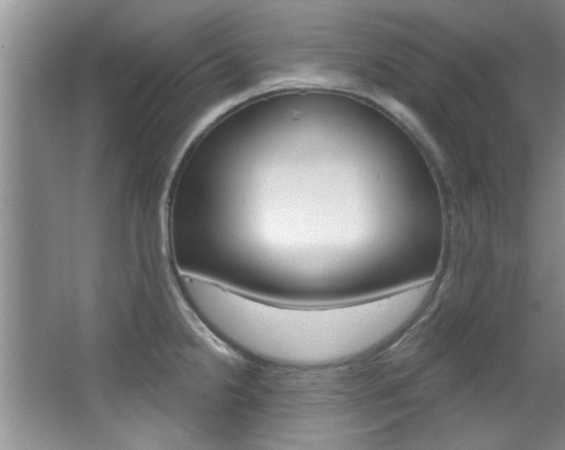 X0000067841238200604130936
