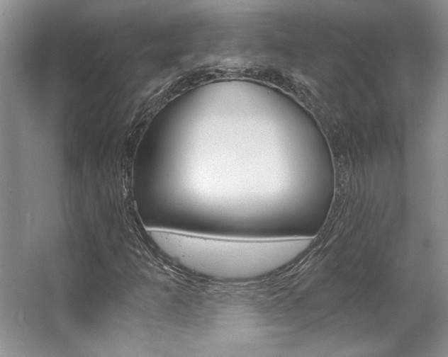 X0000067841253200604130935