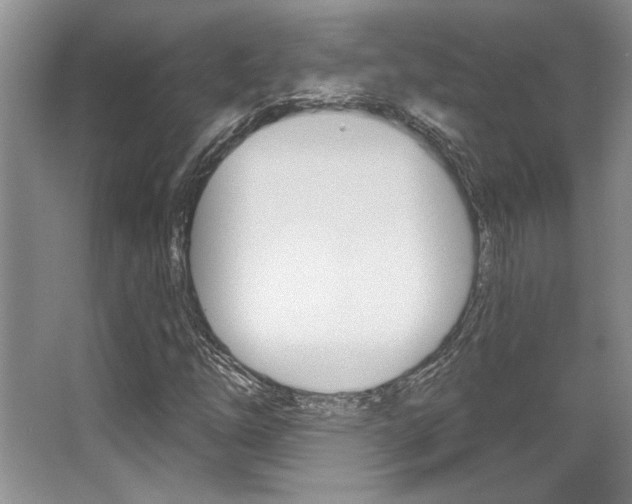 X0000067841254200604130935