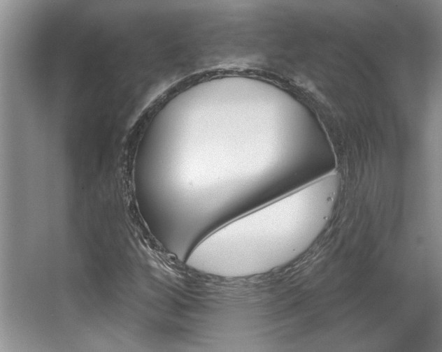 X0000067841256200604130935