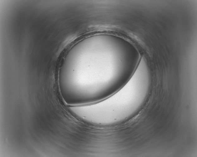 X0000067841261200604130935