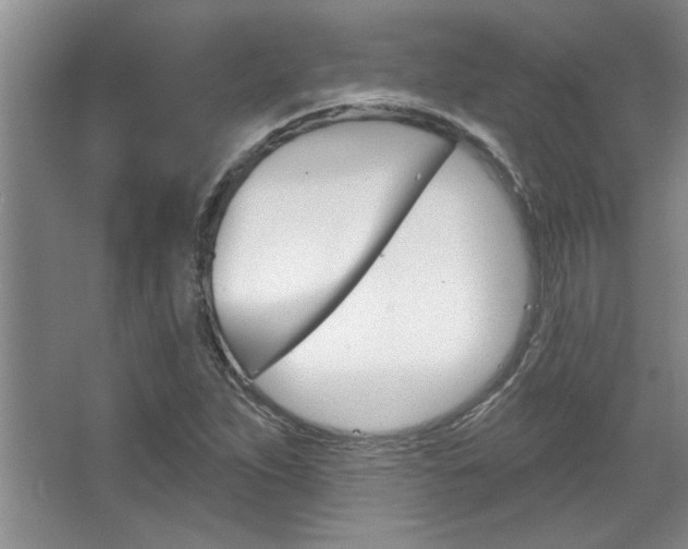 X0000067841263200604130935