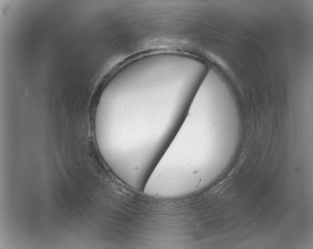 X0000067841267200604130935