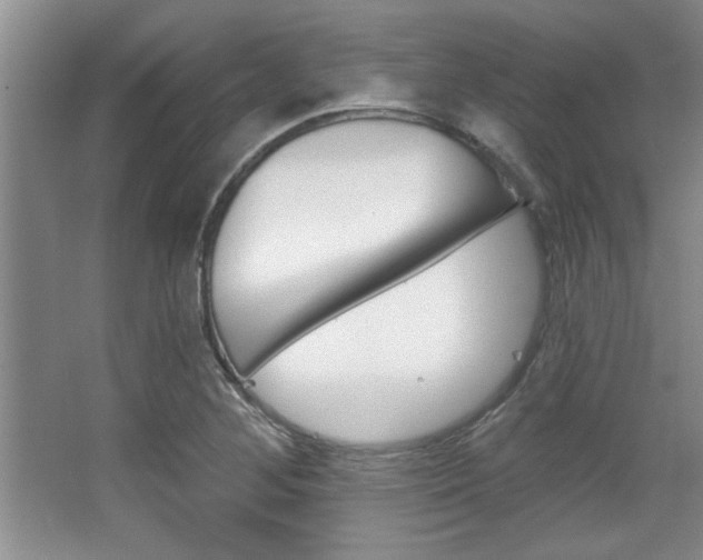 X0000067841268200604130935